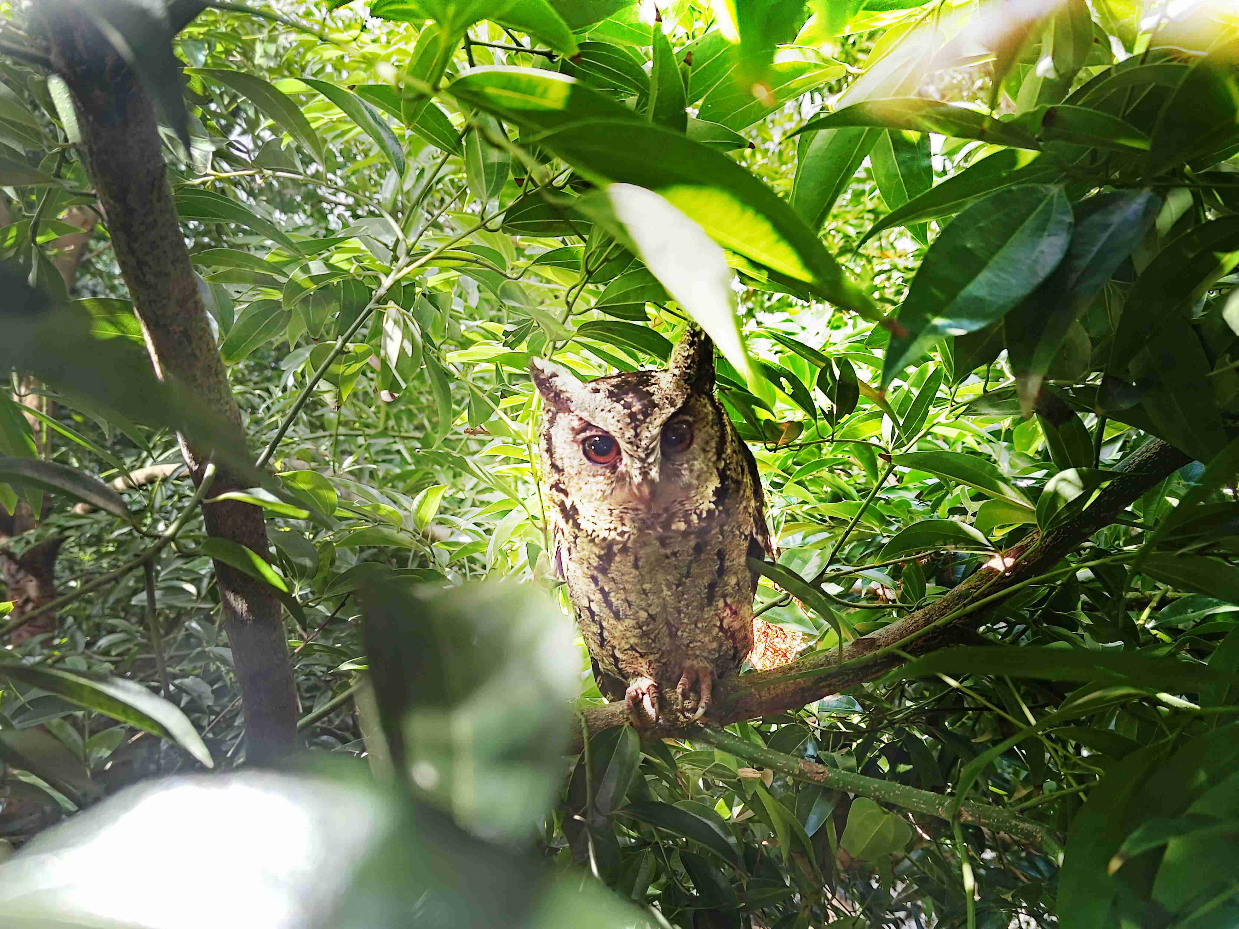 尊时凯龙致力提倡净零绿生活，，，，16年以来在全球各厂区植树逾百万棵，，造就各厂区树木蔚然成林，，，犹如森林工厂，，，，成为许多生物的栖息地